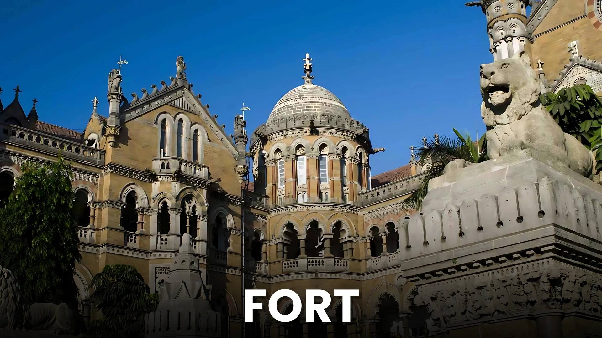 Digital Marketing Company In Fort