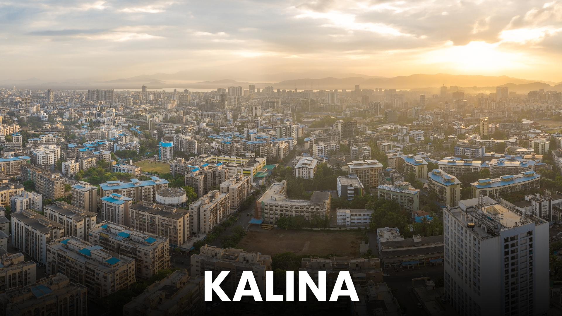 Marketing Company In Kalina